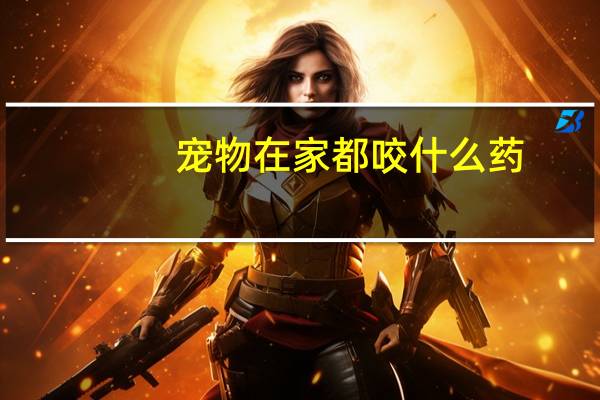 宠物在家都咬什么药