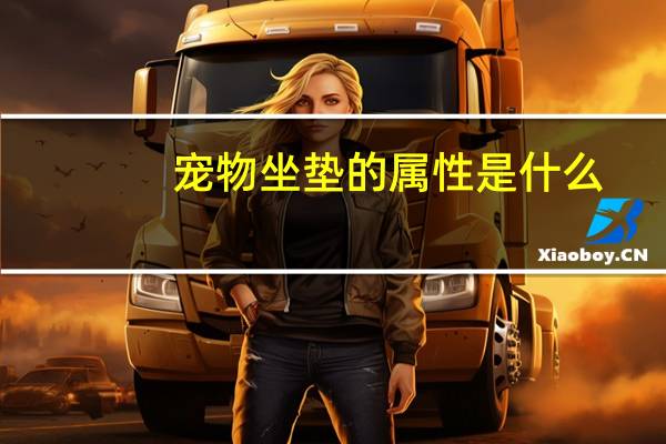 宠物坐垫的属性是什么