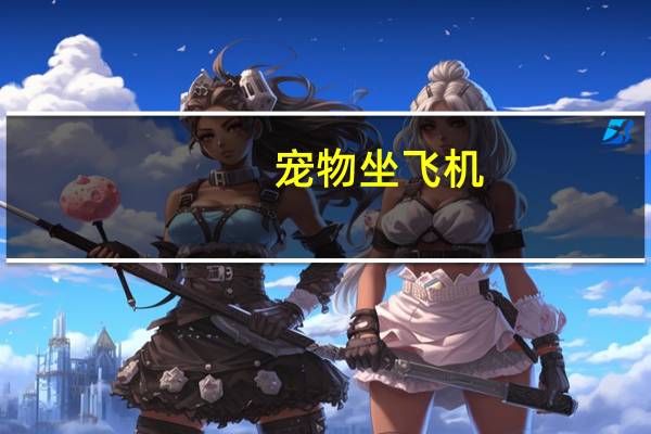 宠物坐飞机