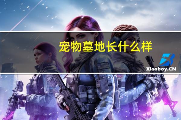 宠物墓地长什么样