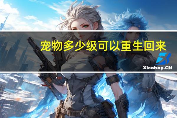 宠物多少级可以重生回来