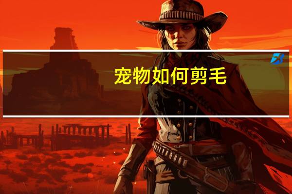 宠物如何剪毛