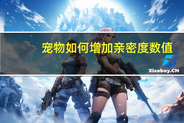 宠物如何增加亲密度数值
