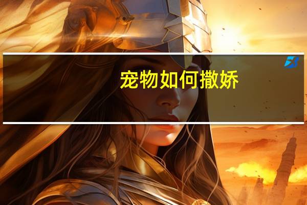 宠物如何撒娇