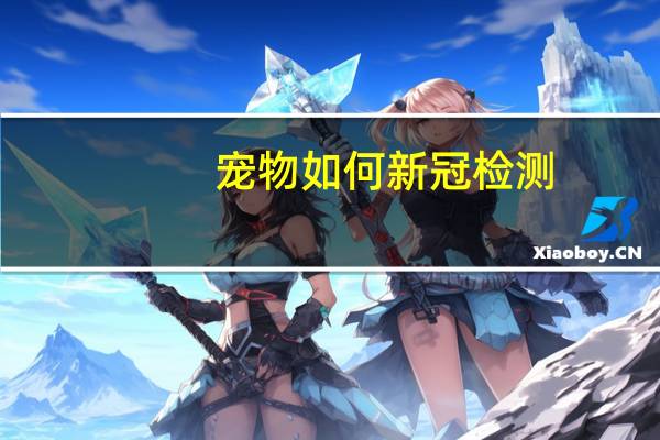 宠物如何新冠检测