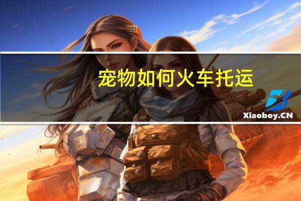 宠物如何火车托运