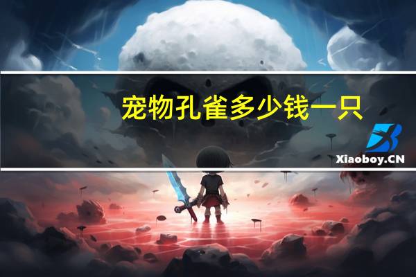 宠物孔雀多少钱一只