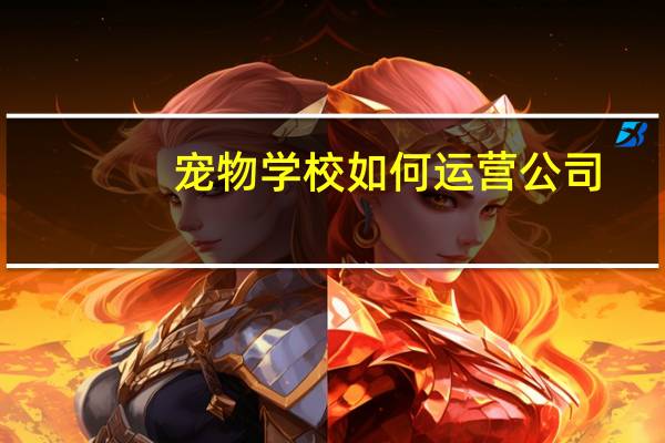 宠物学校如何运营公司