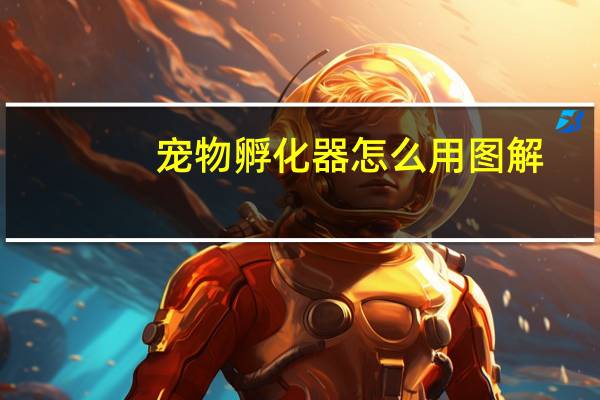宠物孵化器怎么用图解