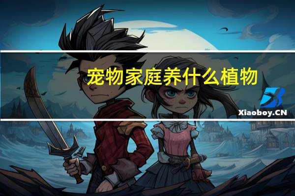 宠物家庭养什么植物