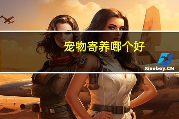 宠物寄养哪个好