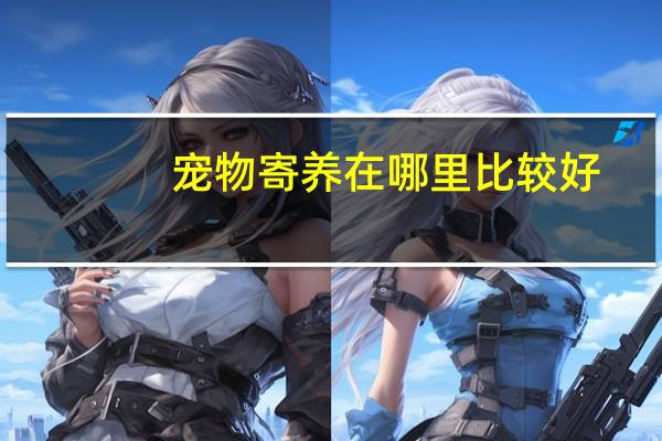 宠物寄养在哪里比较好