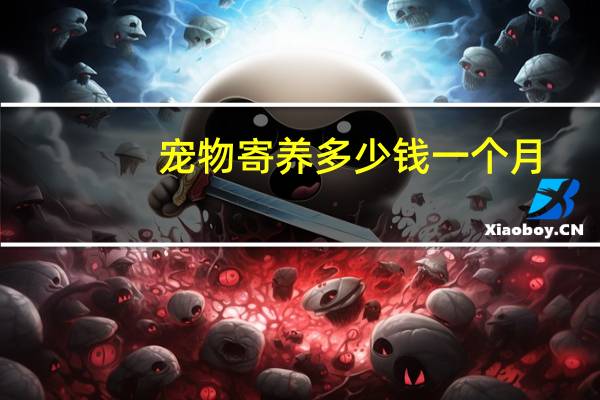 宠物寄养多少钱一个月