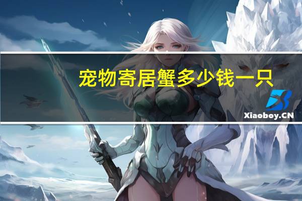 宠物寄居蟹多少钱一只