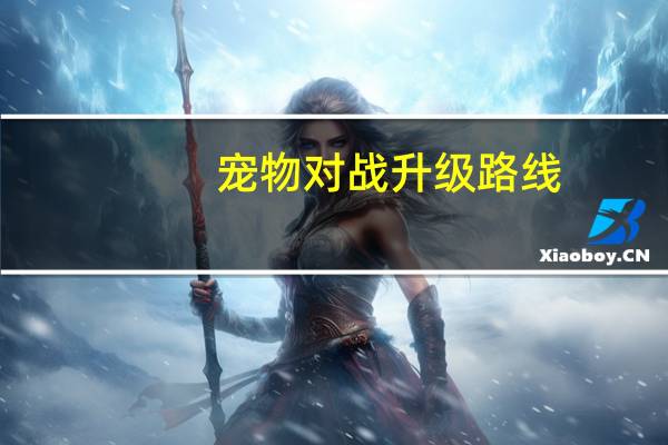 宠物对战升级路线