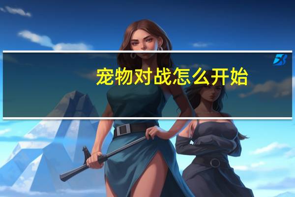 宠物对战怎么开始