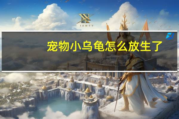 宠物小乌龟怎么放生了