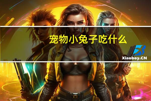 宠物小兔子吃什么