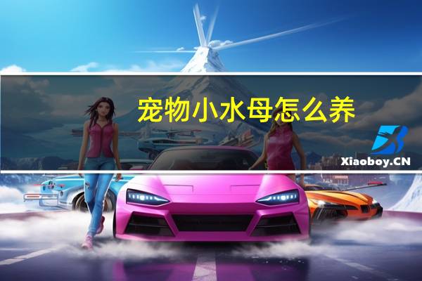 宠物小水母怎么养