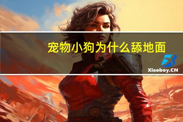 宠物小狗为什么舔地面