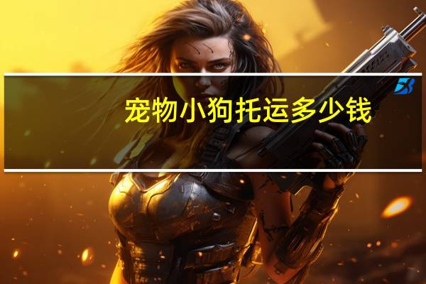 宠物小狗托运多少钱