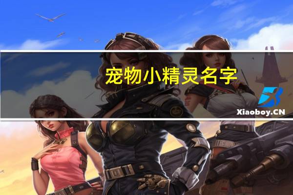 宠物小精灵名字