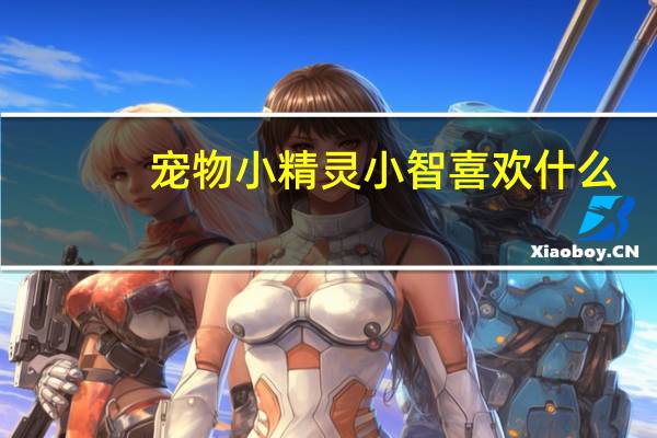 宠物小精灵小智喜欢什么