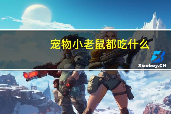 宠物小老鼠都吃什么