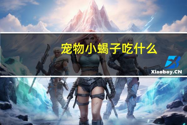 宠物小蝎子吃什么
