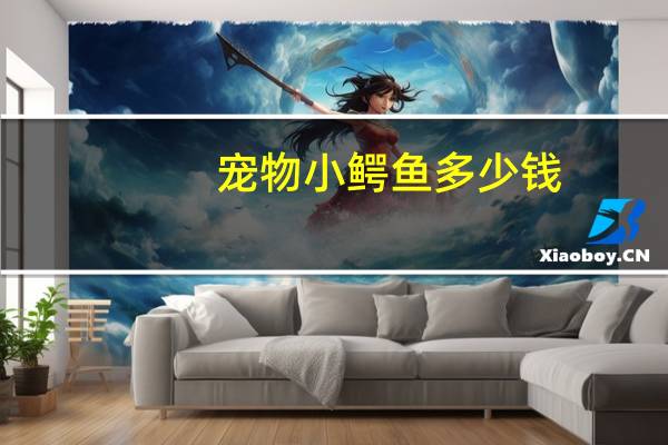 宠物小鳄鱼多少钱