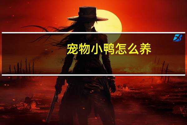 宠物小鸭怎么养