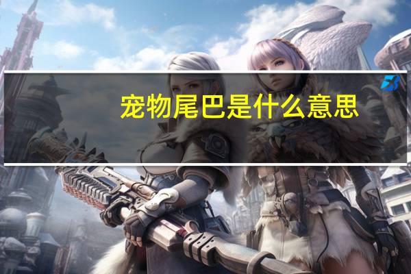 宠物尾巴是什么意思