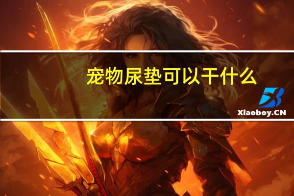 宠物尿垫可以干什么