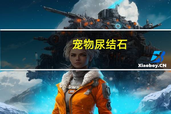 宠物尿结石