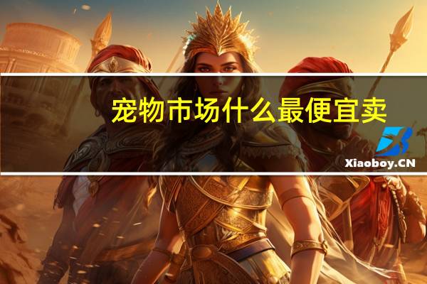 宠物市场什么最便宜卖
