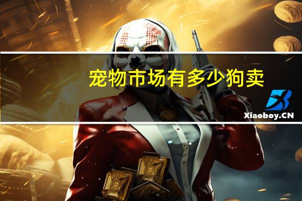 宠物市场有多少狗卖