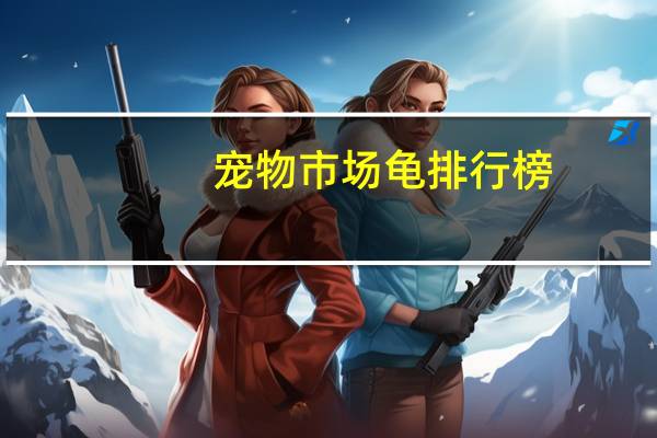 宠物市场龟排行榜