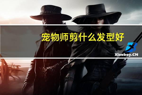 宠物师剪什么发型好