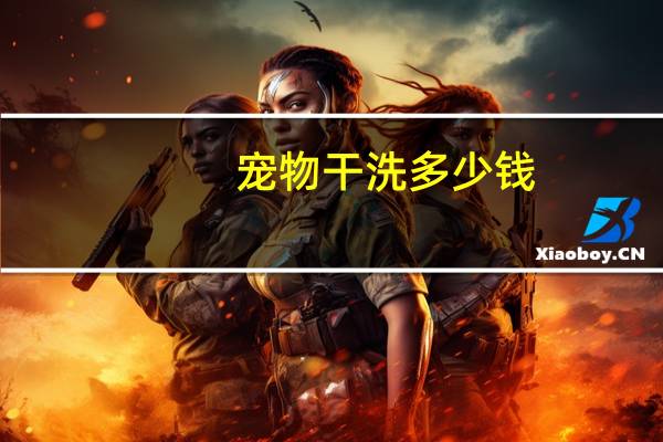 宠物干洗多少钱