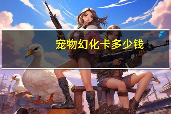 宠物幻化卡多少钱