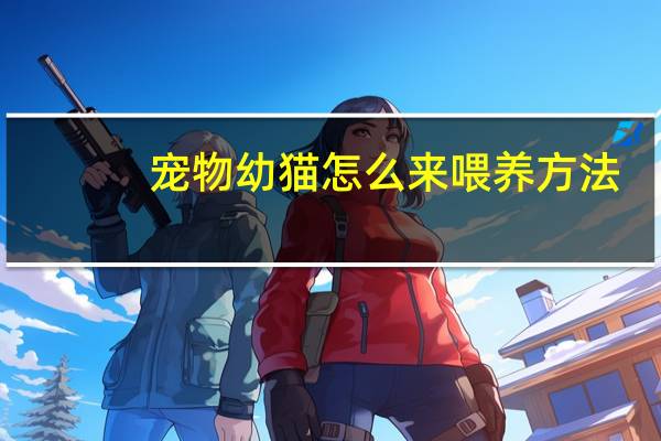 宠物幼猫怎么来喂养方法