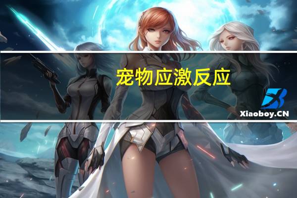 宠物应激反应