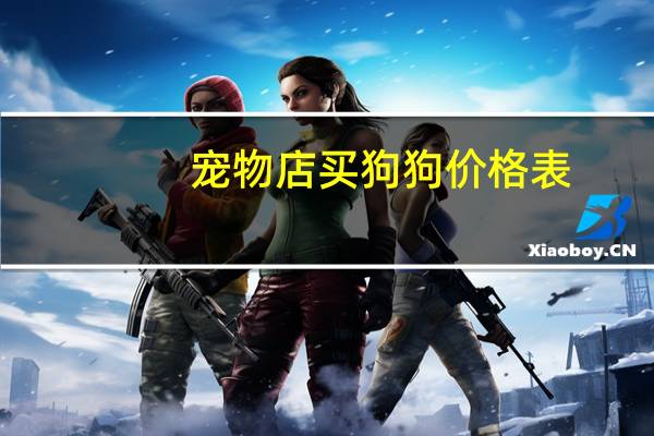 宠物店买狗狗价格表