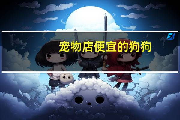 宠物店便宜的狗狗