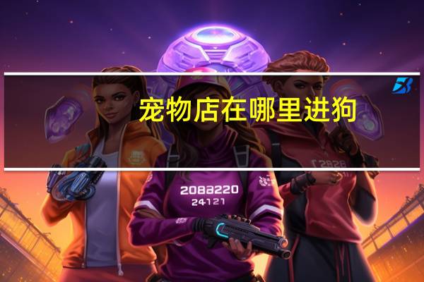 宠物店在哪里进狗