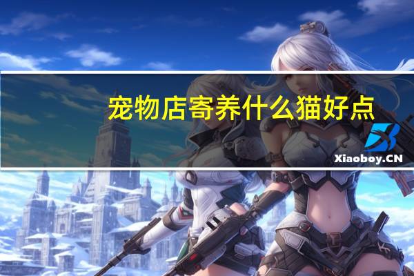 宠物店寄养什么猫好点