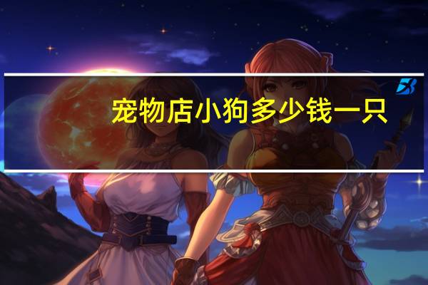 宠物店小狗多少钱一只