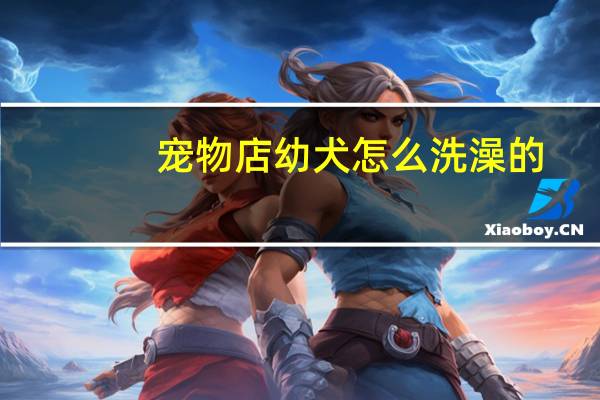 宠物店幼犬怎么洗澡的