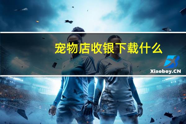 宠物店收银下载什么