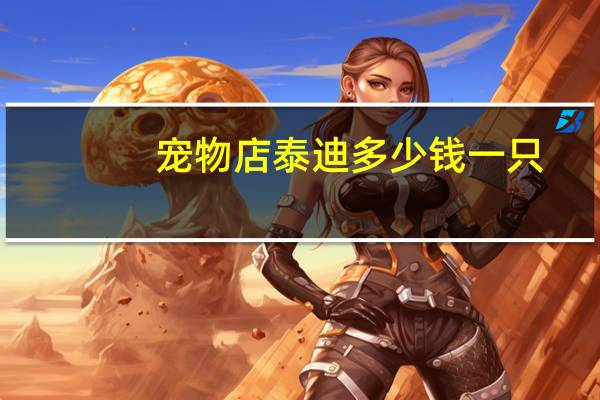 宠物店泰迪多少钱一只